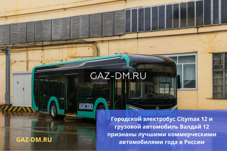 CITYMAX 12 И ВАЛДАЙ 12 ПРИЗНАНЫ ЛУЧШИМИ КОММЕРЧЕСКИМИ АВТОМОБИЛЯМИ ГОДА В РОССИИ
