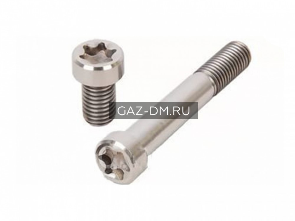 болт специальный