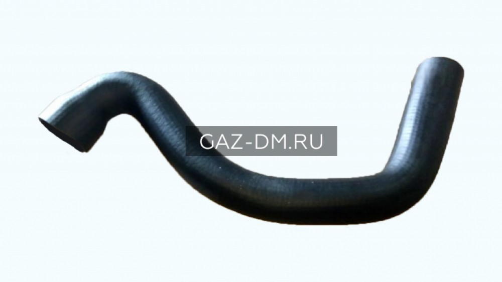 шланг радиатора