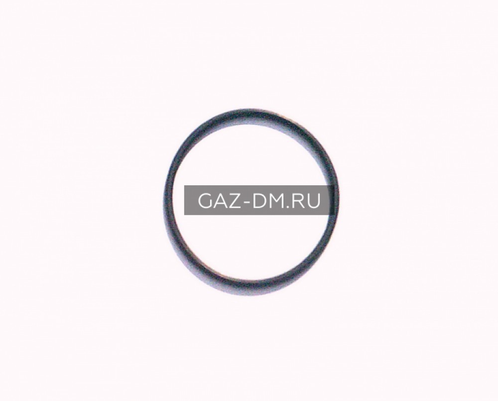 уплотнительное кольцо